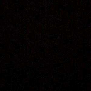 Meet your Posher, Jesal